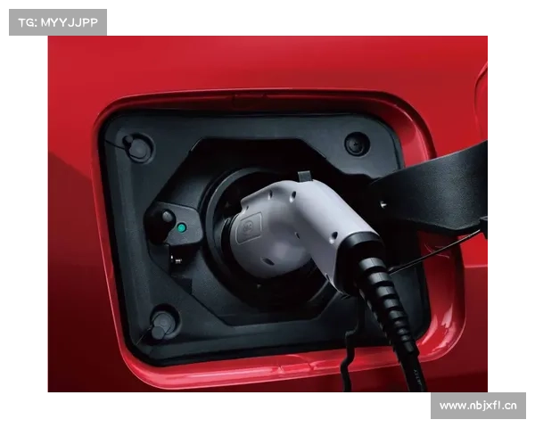 三种外观造型,新一代丰田RAV4发布,油混_插混动力可选