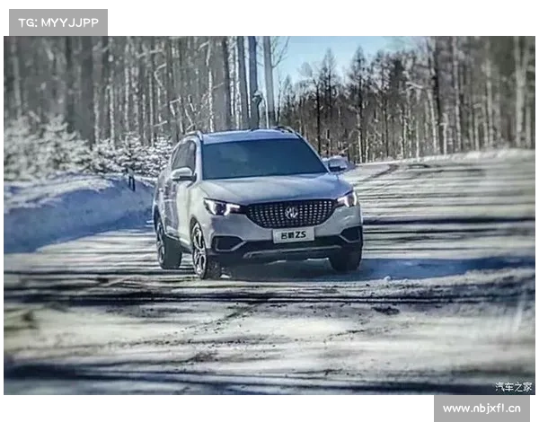专为年轻人设计的SUV 名爵ZS买哪个配置最划算